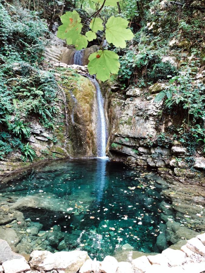 Hotel Pineta Cagli Dış mekan fotoğraf